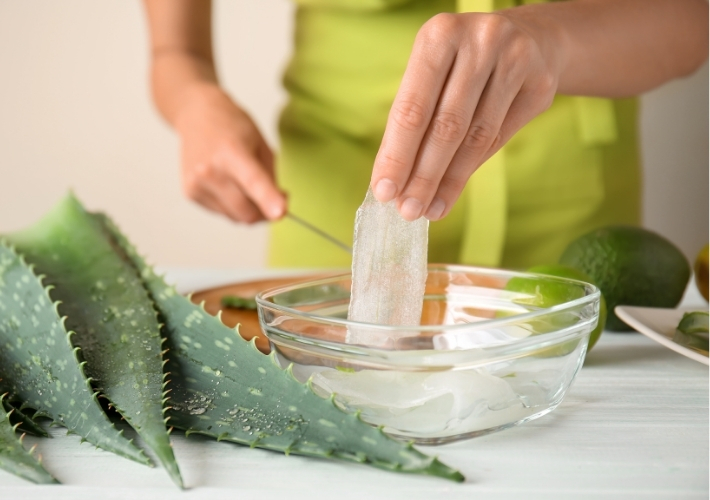 Woman is Making Aloe Vera Gel